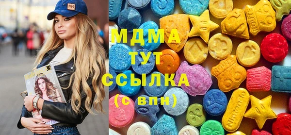 шишки Бородино