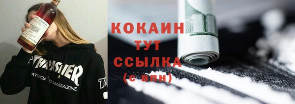 шишки Бородино