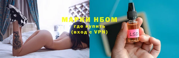 шишки Бородино