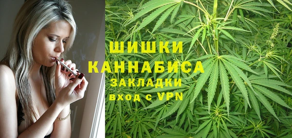 Альфа ПВП Бронницы
