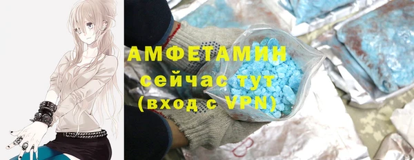 шишки Бородино