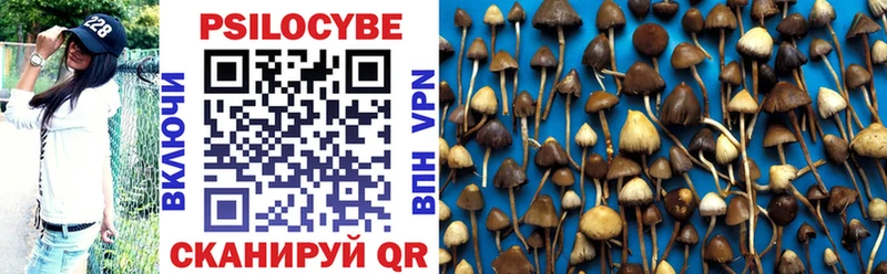 Псилоцибиновые грибы ЛСД  Купить закладки  Гай 